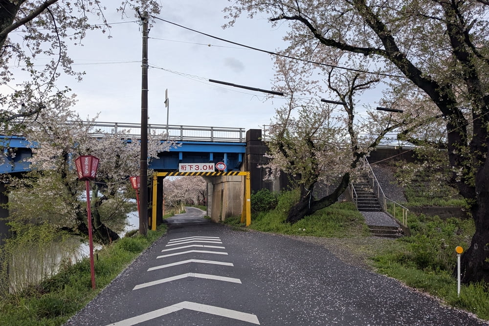 墨俣一夜城（桜まつり）撮影スポット