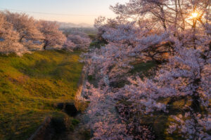 霞間ヶ渓（かまがたに）の桜