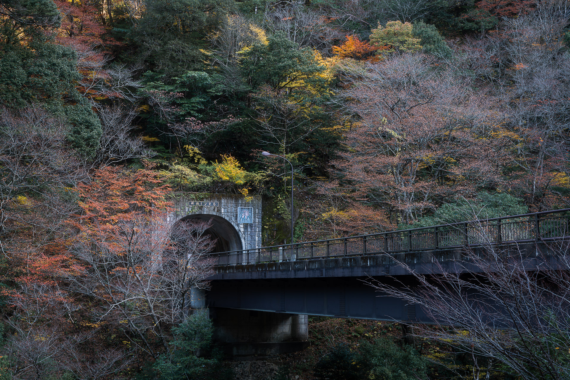 川浦渓谷(かおれけいこく)
