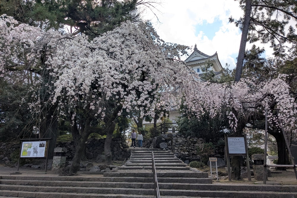 大垣城撮影スポット