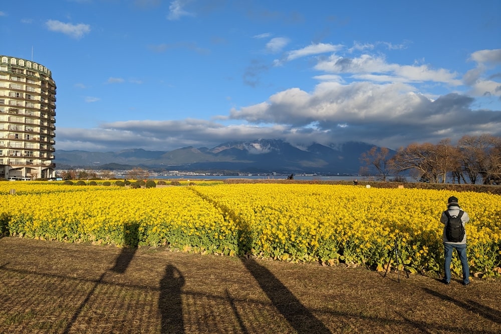 第1なぎさ公園(菜の花)撮影スポット