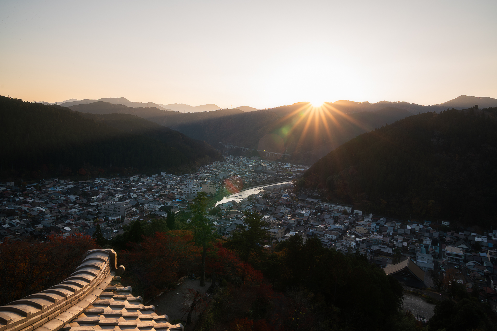 郡上八幡城(紅葉ライトアップ)