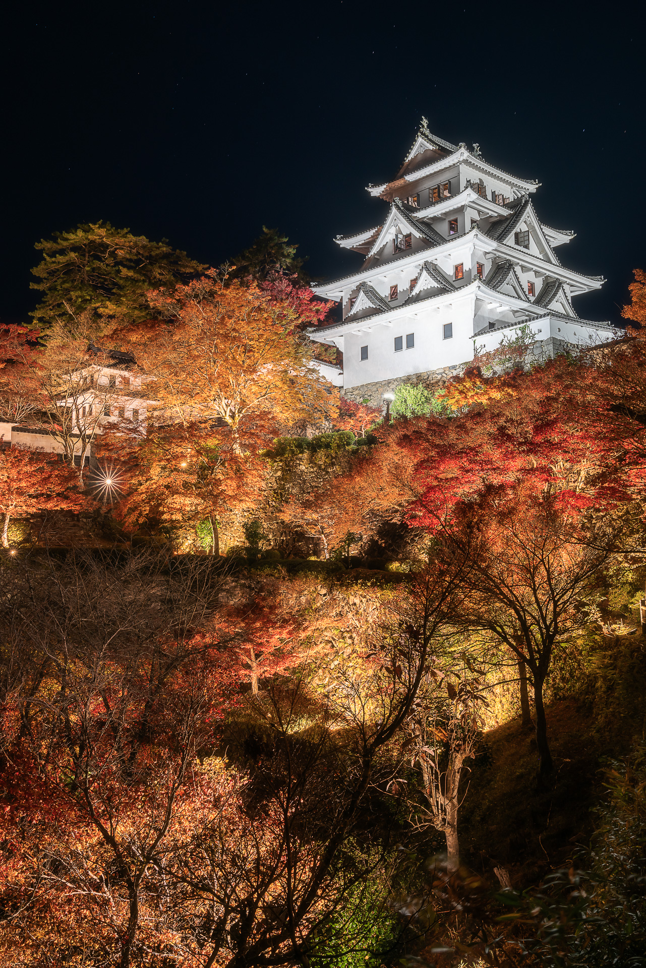 郡上八幡城(紅葉ライトアップ)