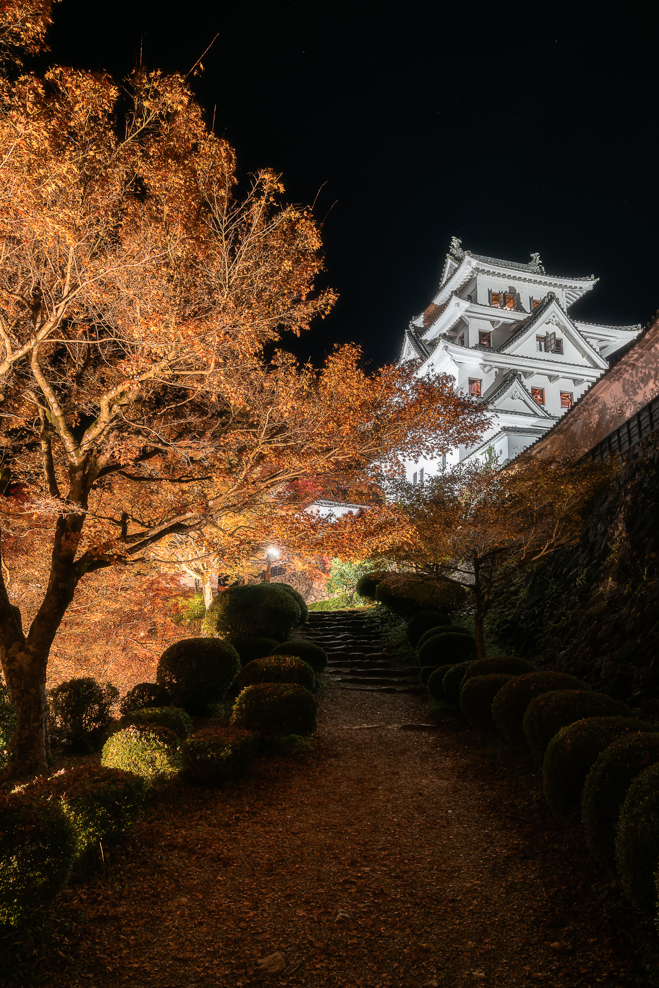 郡上八幡城(紅葉ライトアップ)