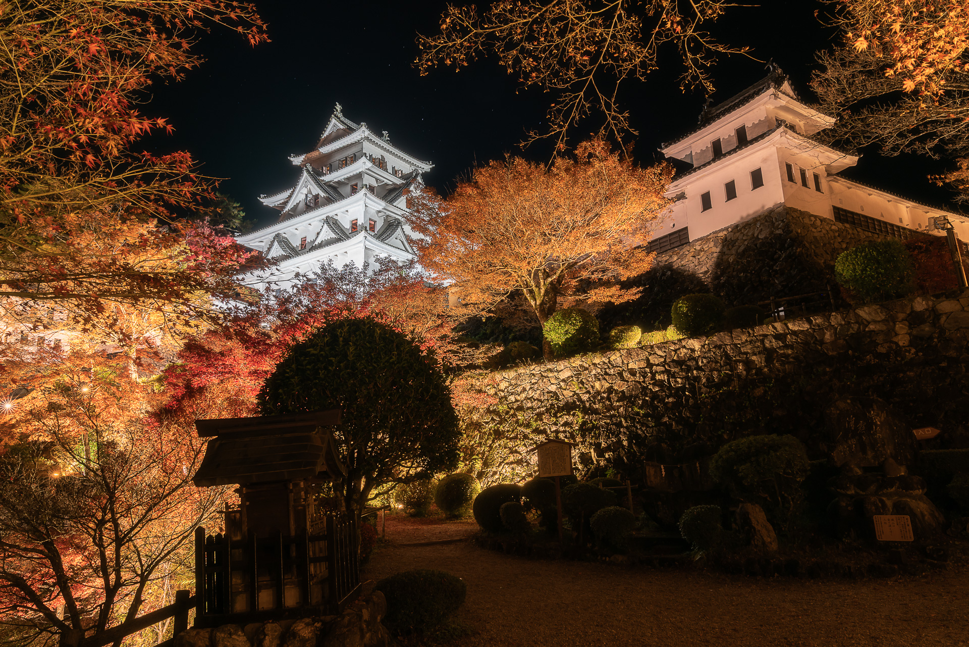郡上八幡城(紅葉ライトアップ)