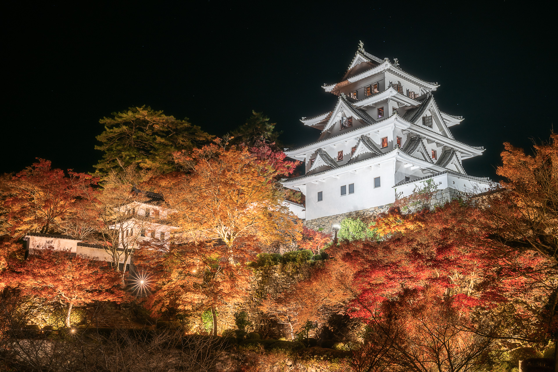 郡上八幡城(紅葉ライトアップ)
