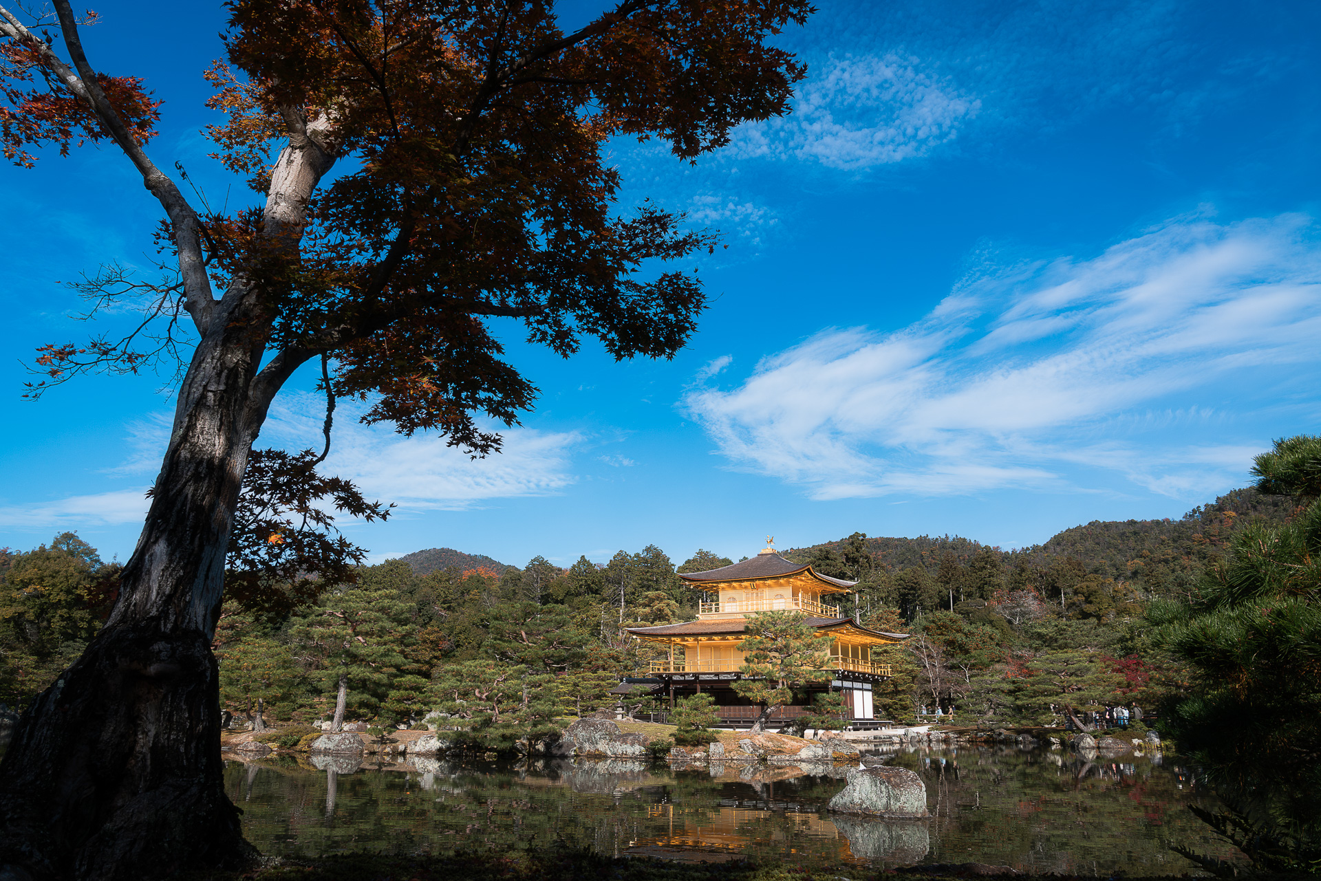 金閣寺