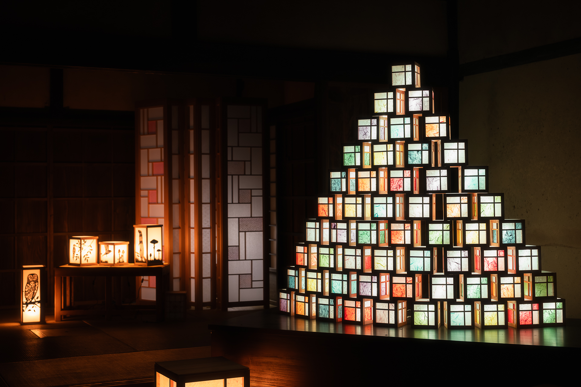 醒井地蔵川の梅花藻