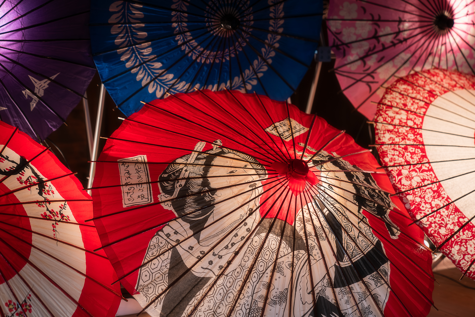 醒井地蔵川の梅花藻