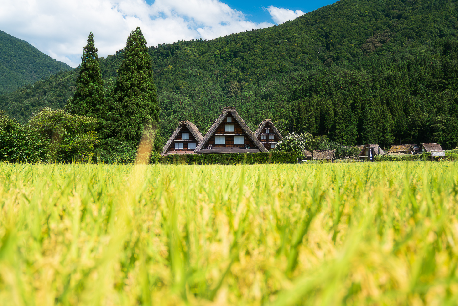 白川郷