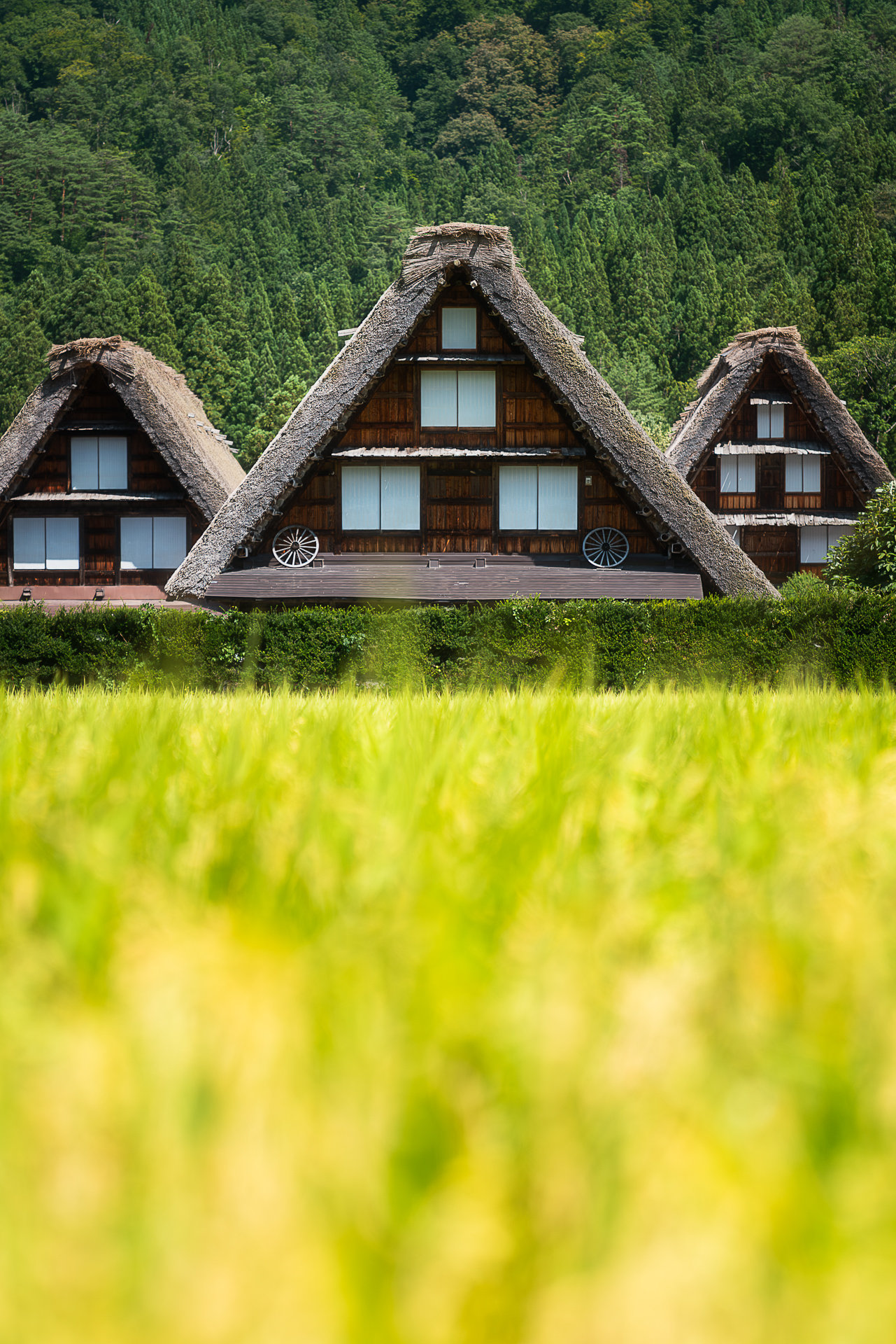 白川郷