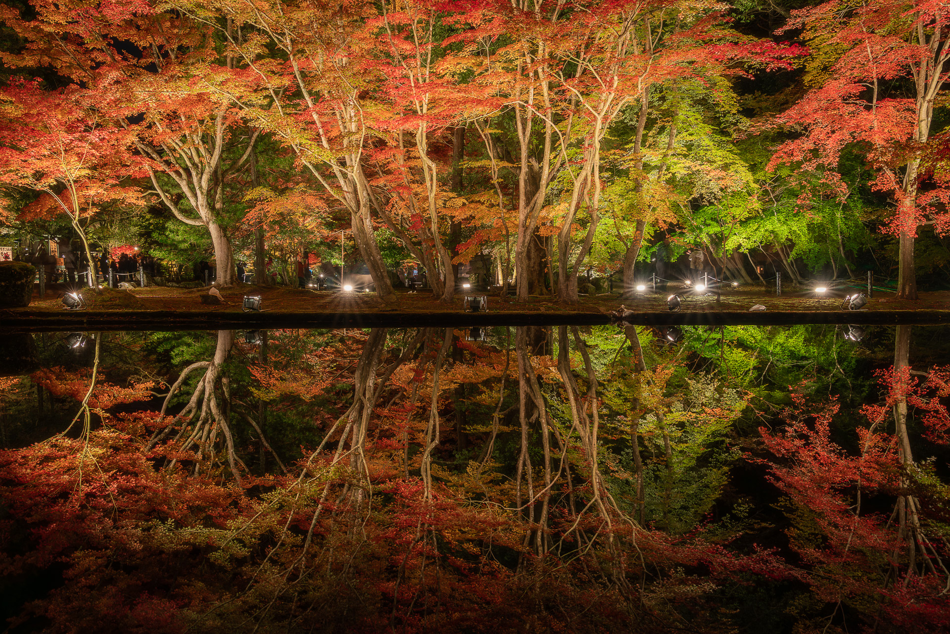 曽木公園もみじまつり(ライトアップ)
