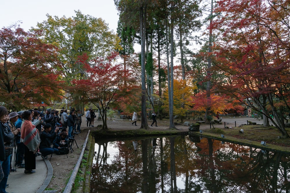 曽木公園撮影スポット