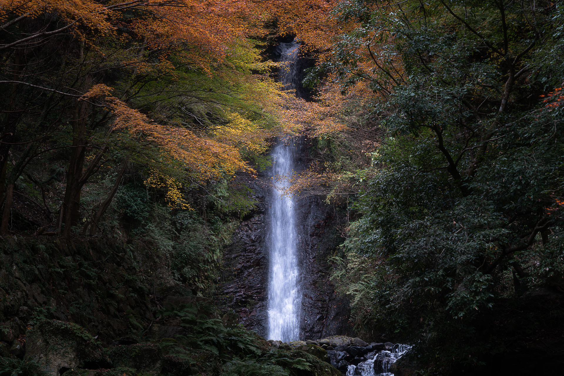 養老の滝