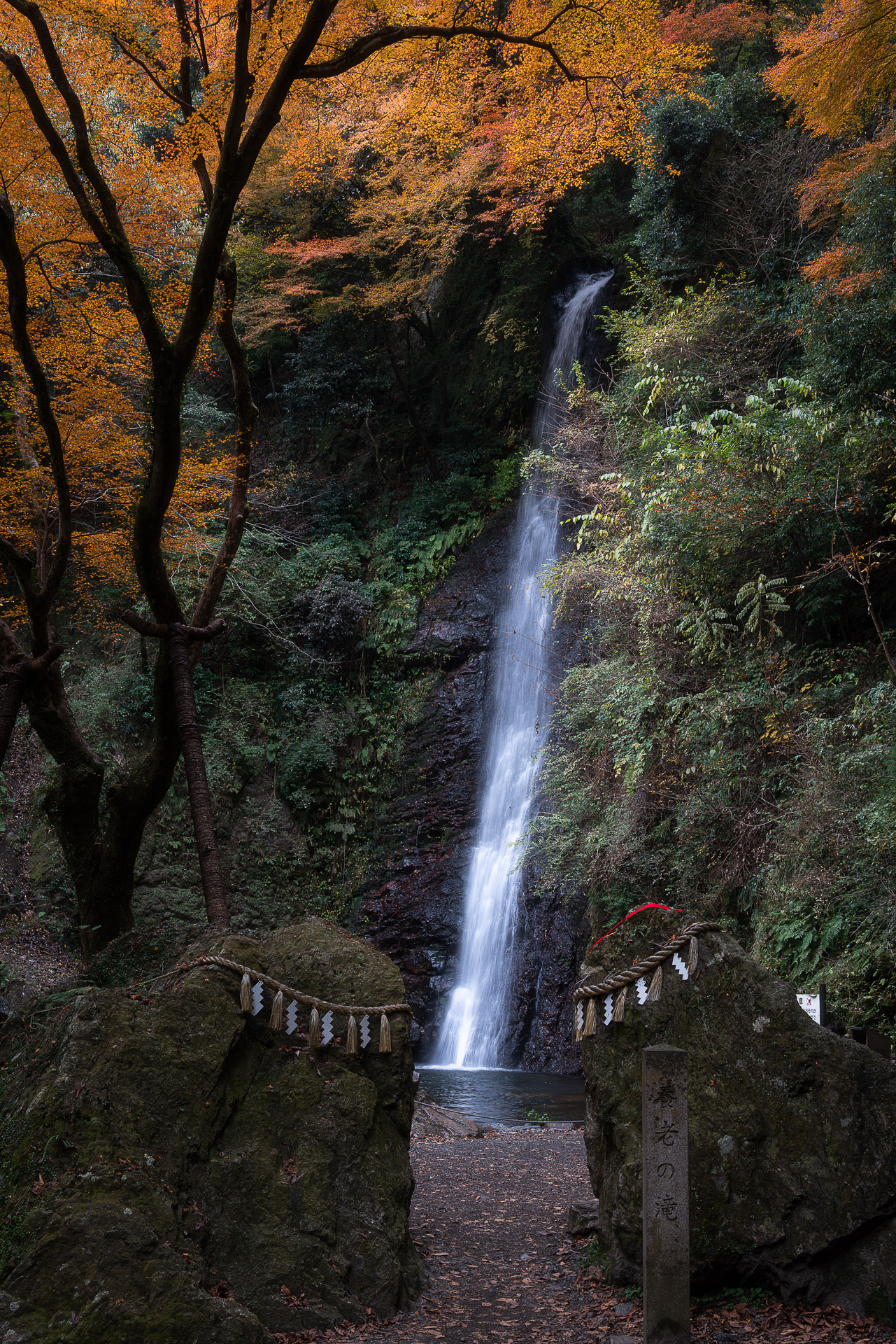 養老の滝