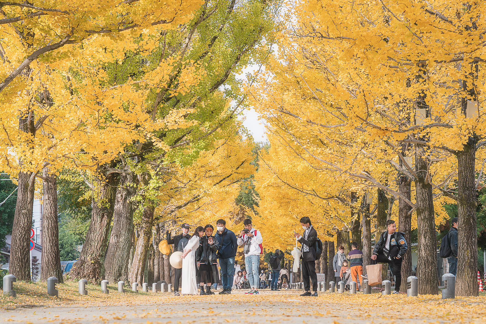 学びの森(冬ソナストリート)