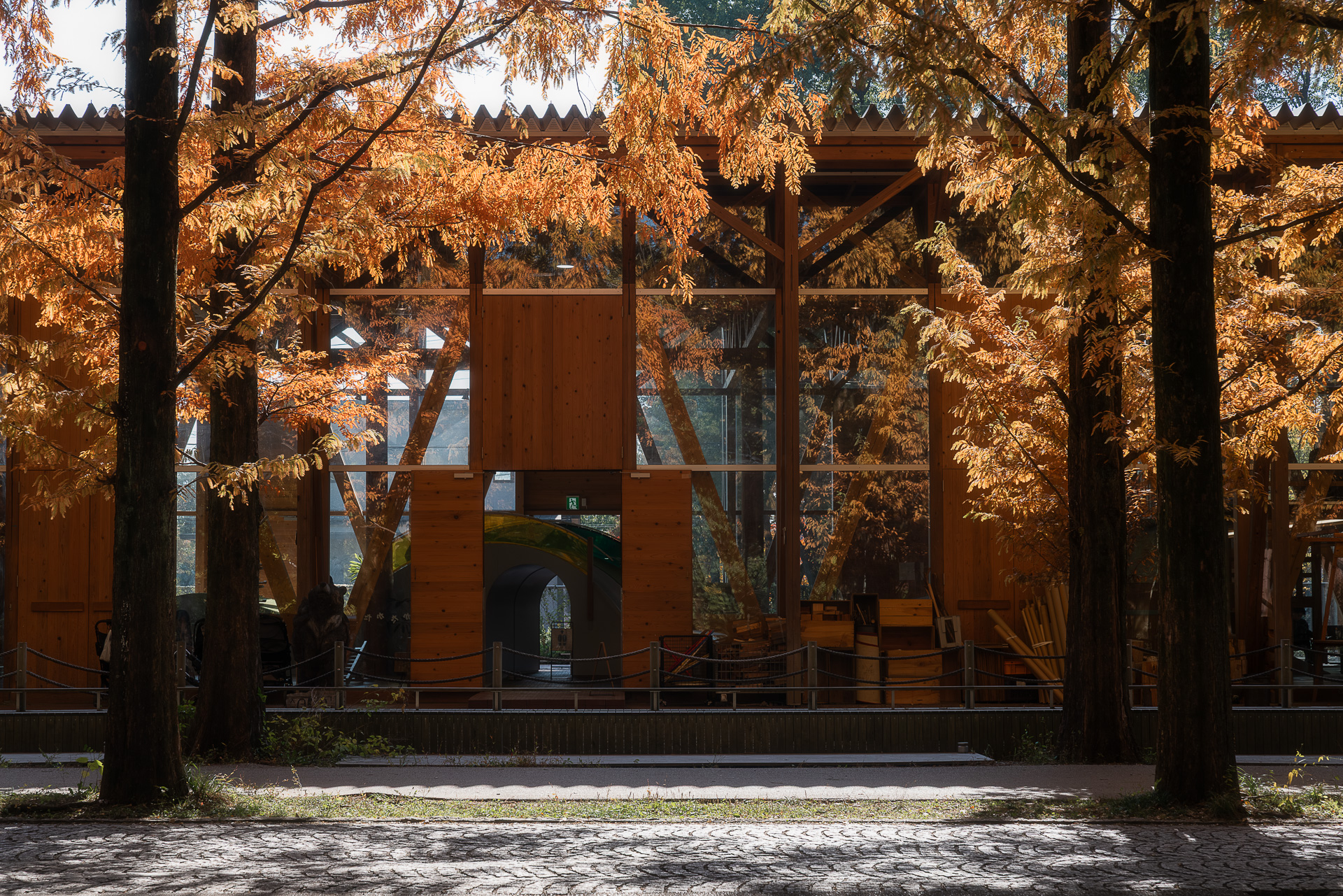 学びの森（冬ソナストリート）