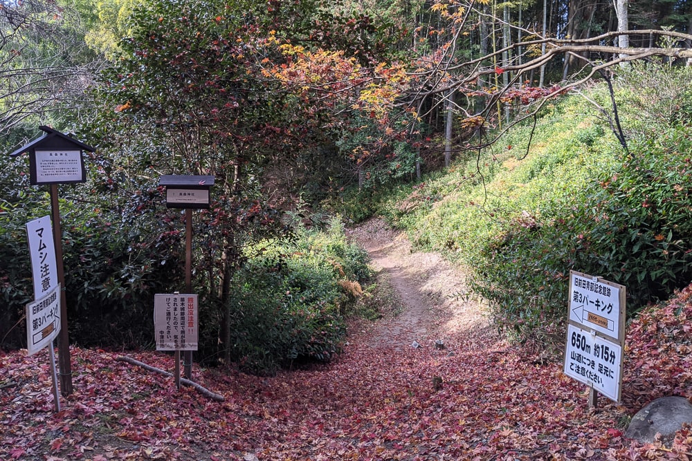 苗木城跡撮影スポット