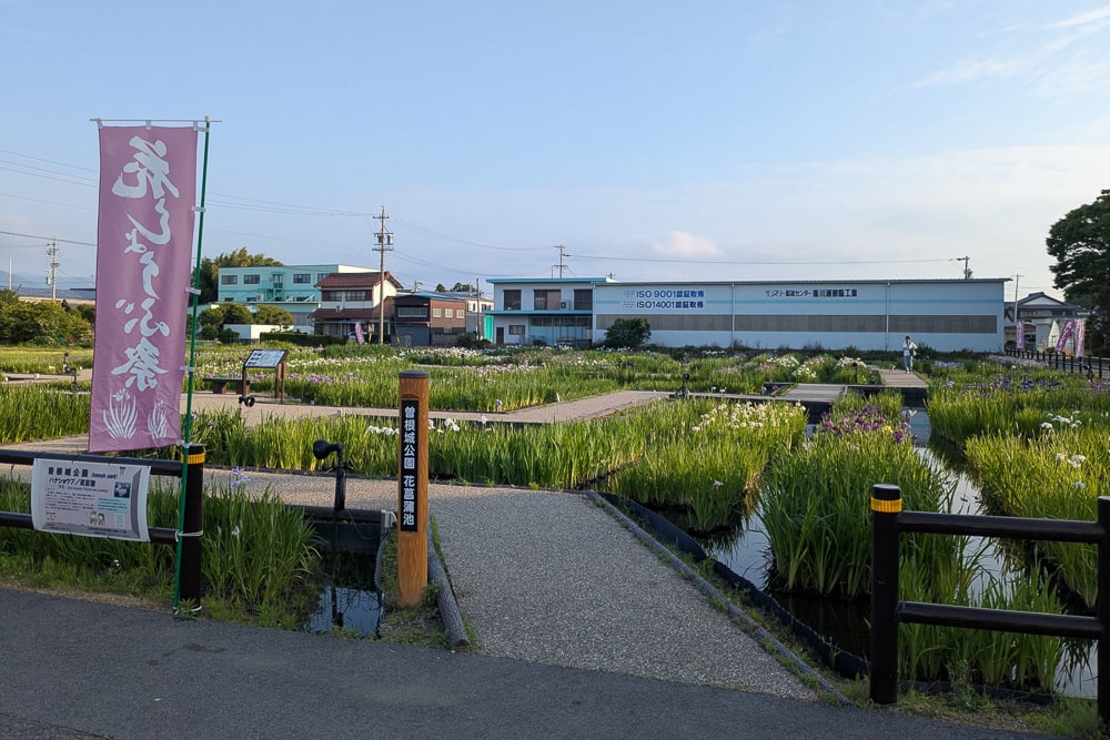曽根城公園花菖蒲池撮影スポット