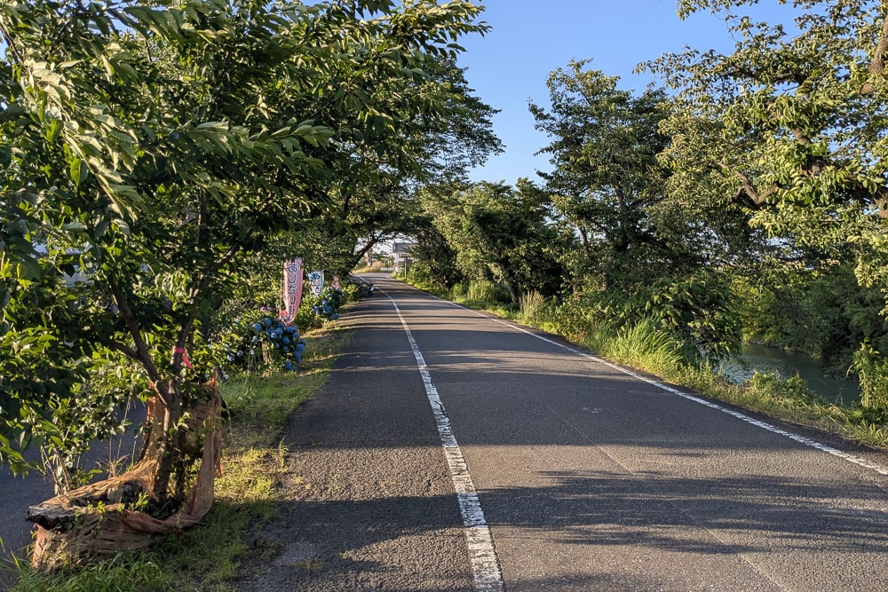 墨俣犀川堤あじさい街道撮影スポット