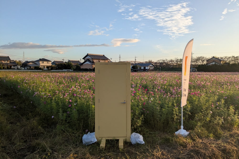 コスモス畑（墨俣町上宿）撮影スポット