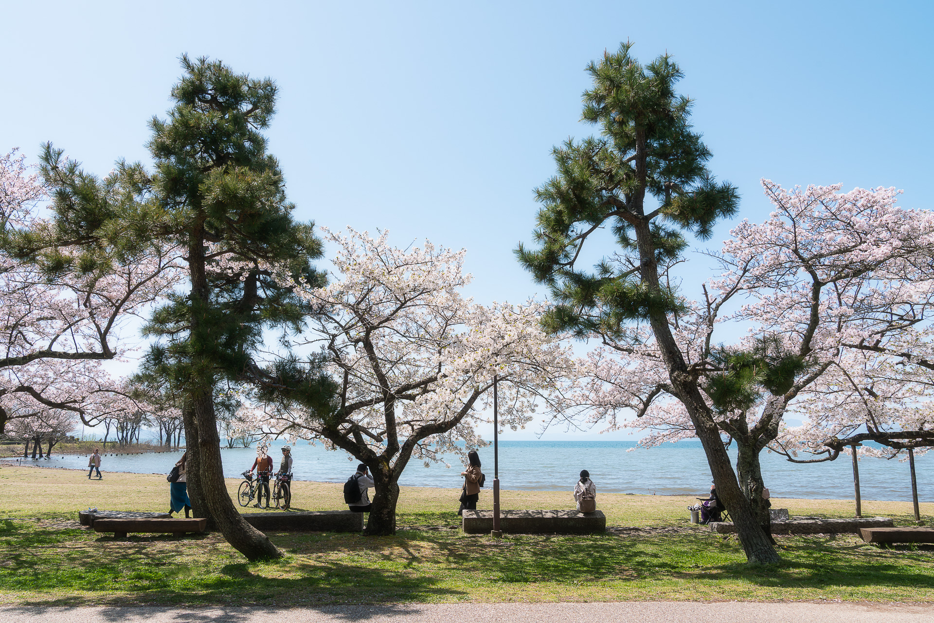 長浜城