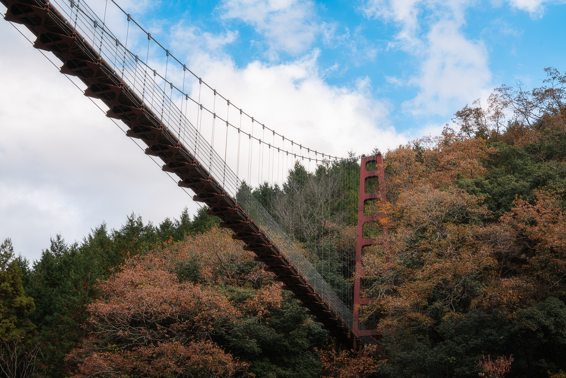 多良峡森林公園