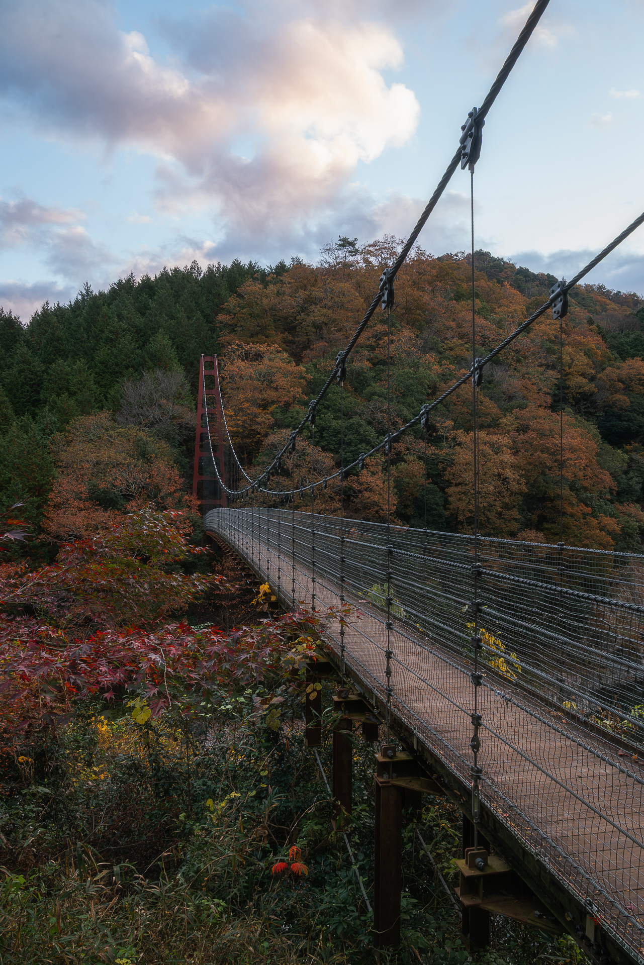 多良峡森林公園