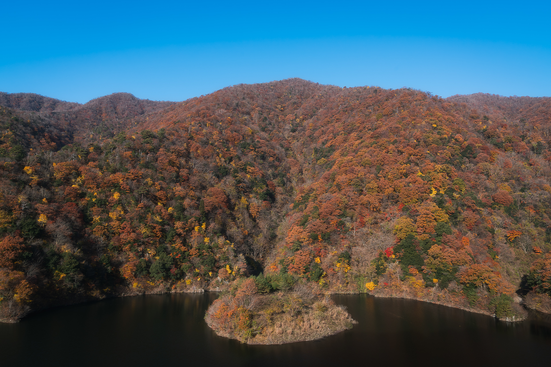 姉川ダムの浮島