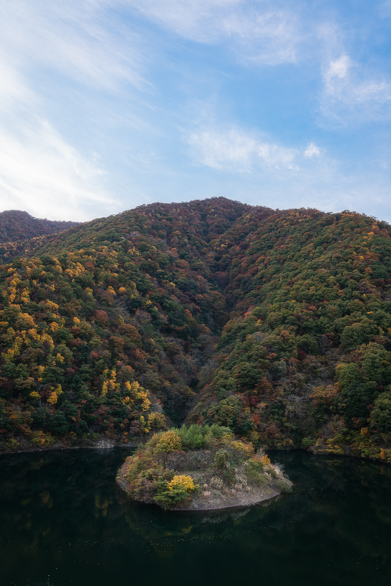 姉川ダムの浮島