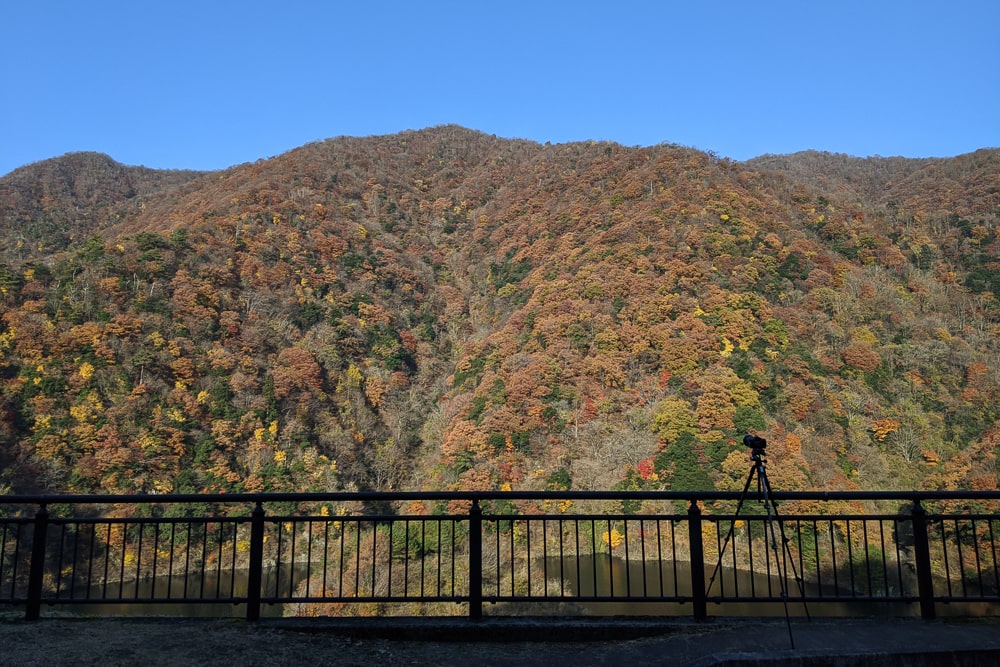 姉川ダムの浮島 撮影スポット