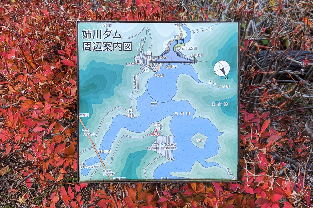 姉川ダムの浮島 撮影スポット