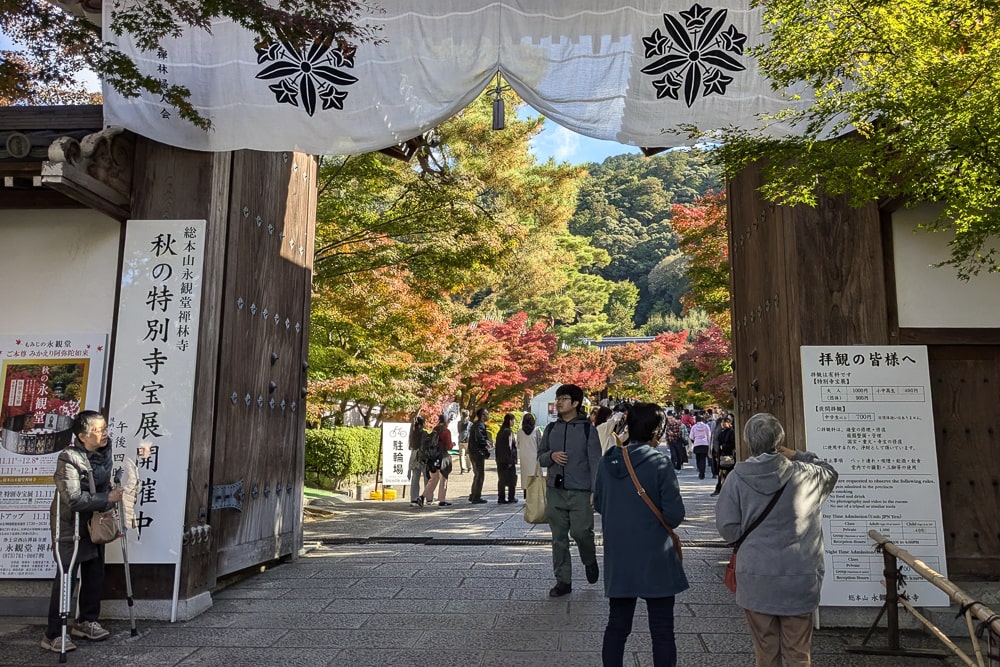 永観堂撮影スポット
