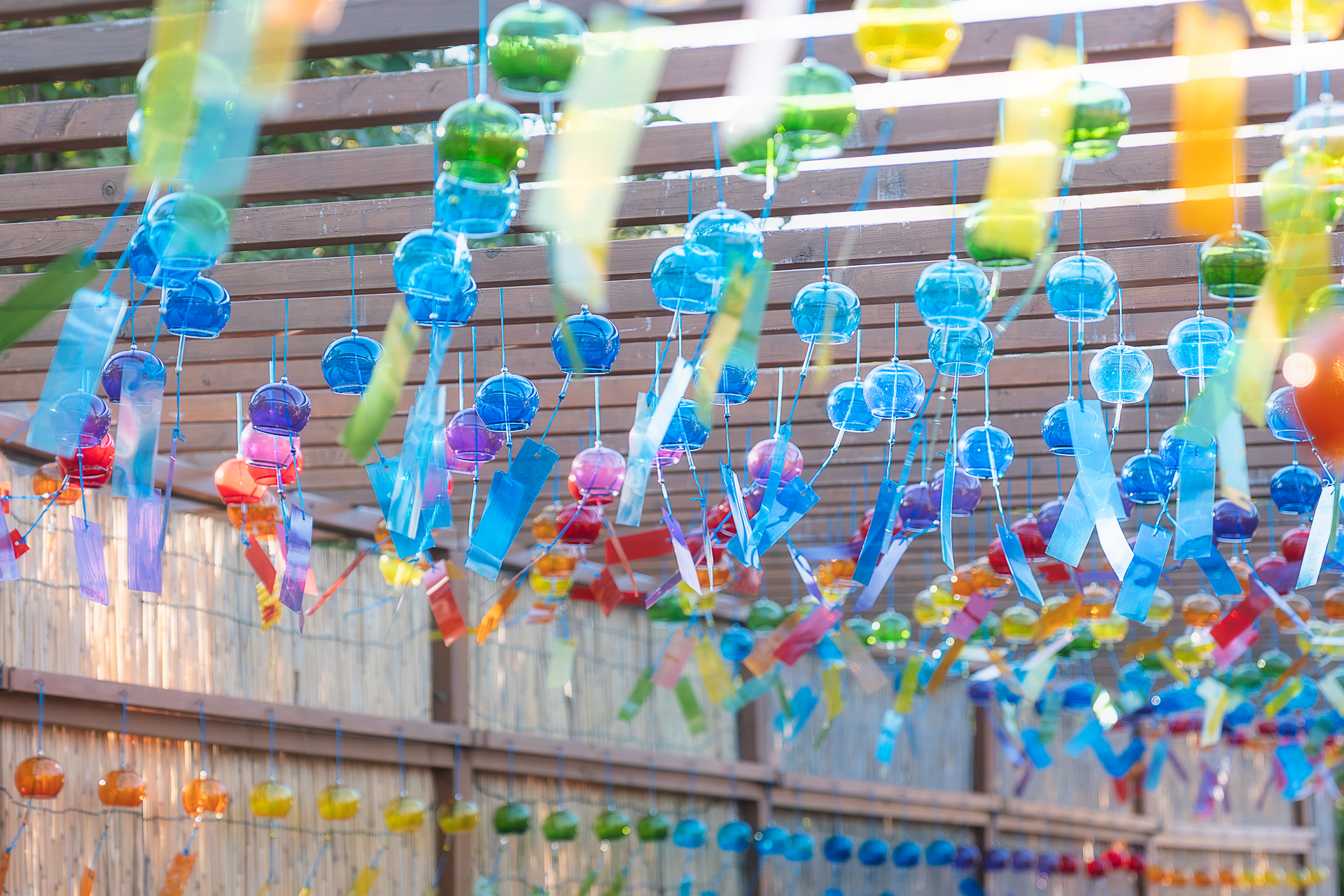 箱館山コキアパーク