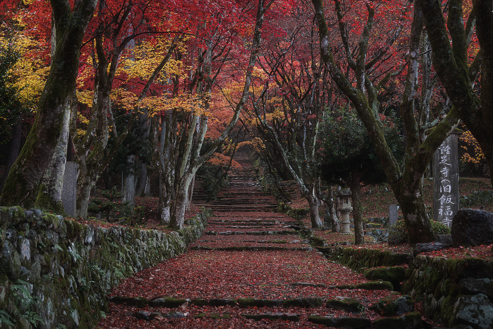 鶏足寺（旧飯福寺）