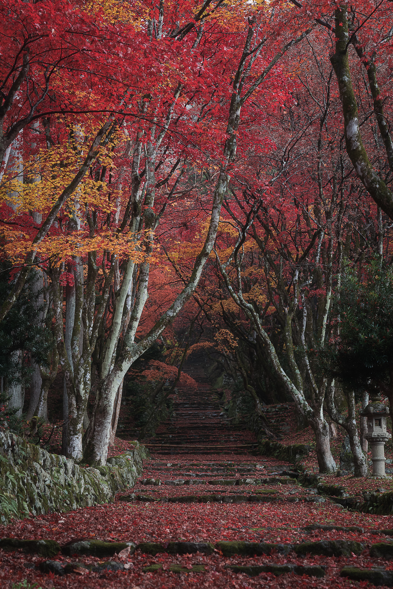 鶏足寺（旧飯福寺）
