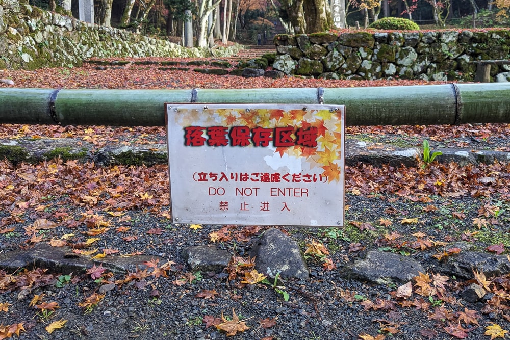 鶏足寺（旧飯福寺）撮影スポット
