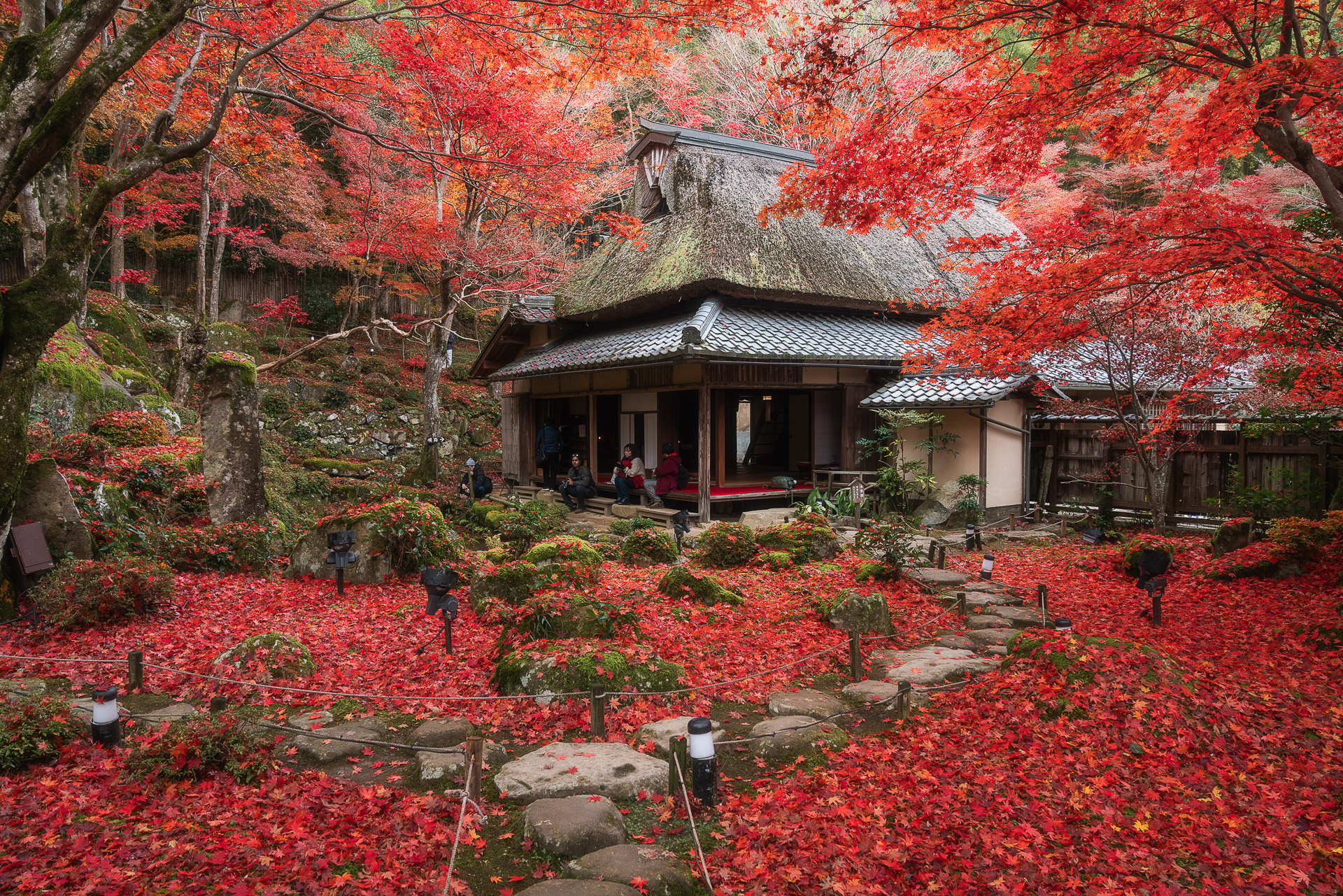 教林坊(紅葉の公開)