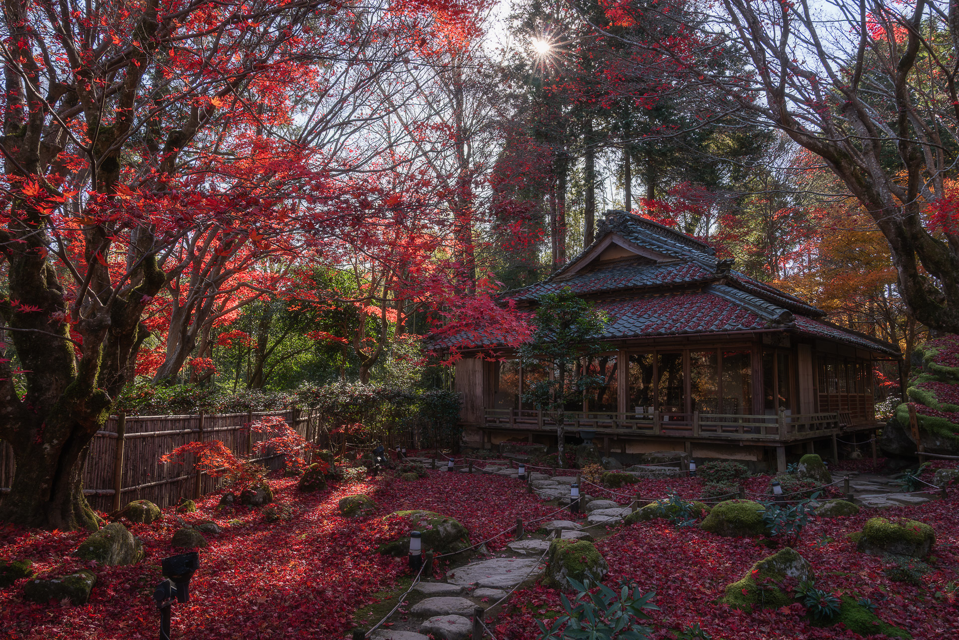 教林坊(紅葉の公開)