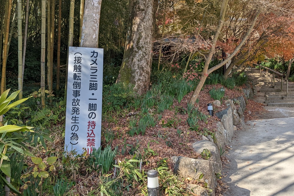 教林坊撮影スポット