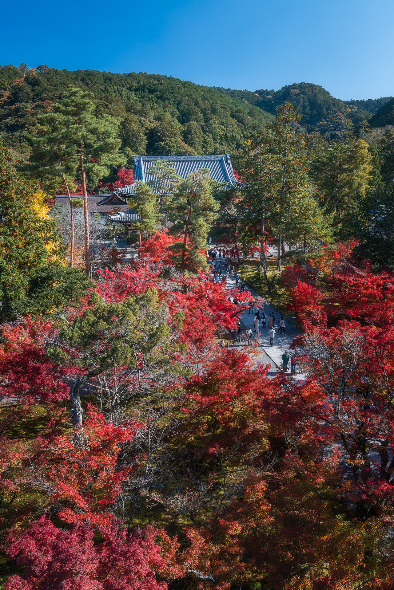 南禅寺