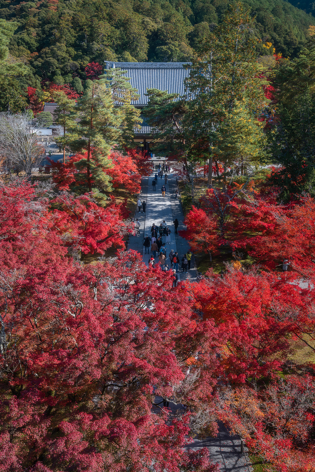 南禅寺
