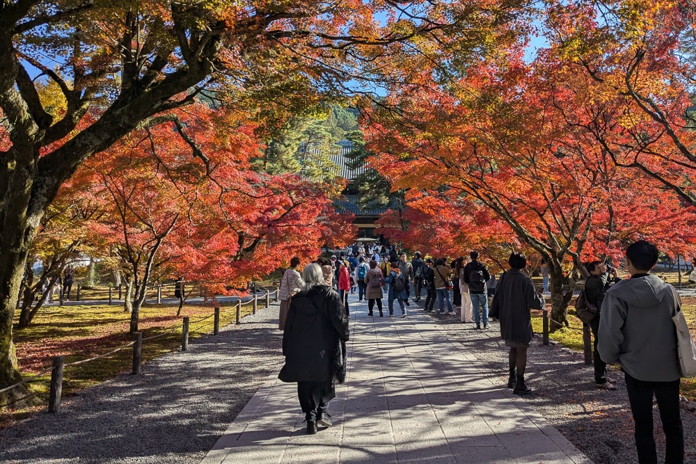南禅寺撮影スポット