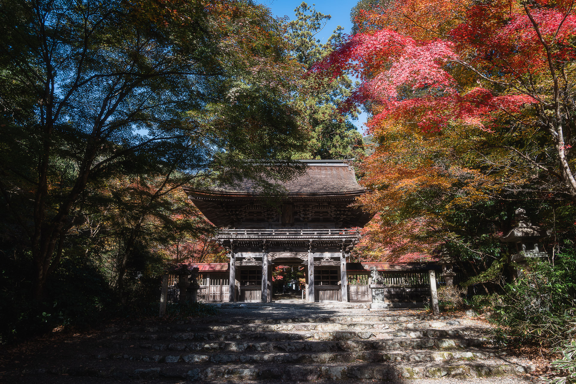 大矢田神社もみじ谷