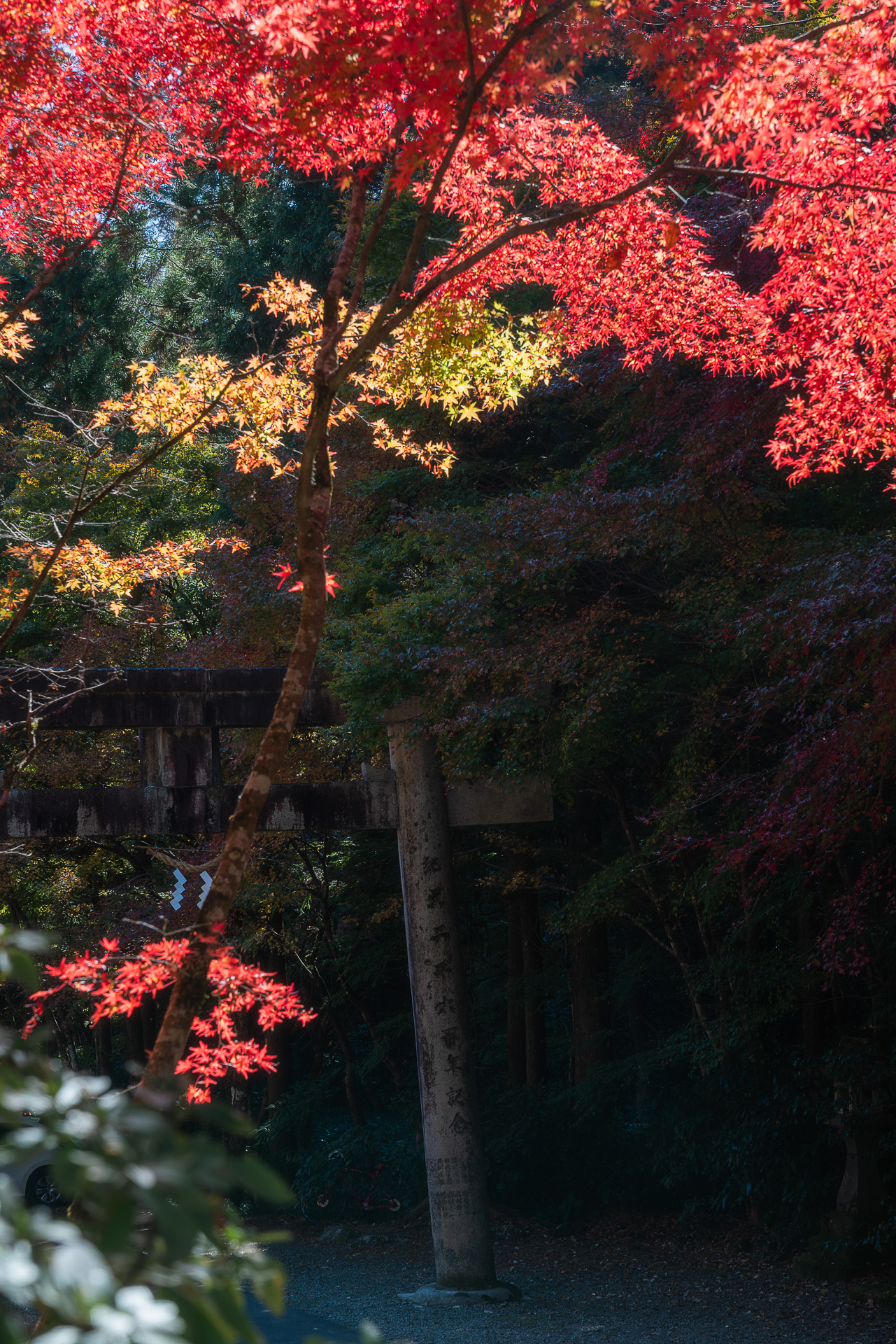 大矢田神社もみじ谷