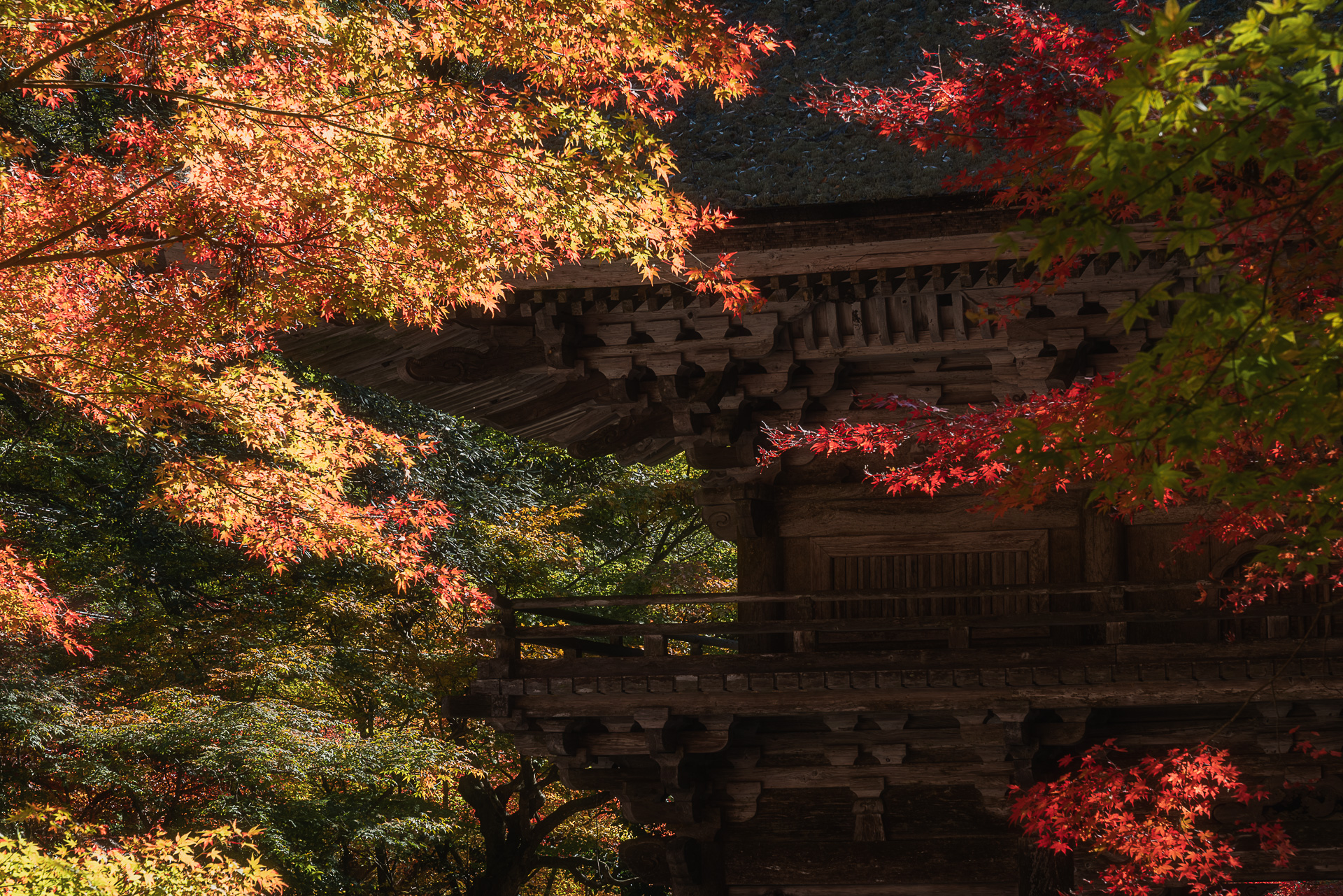大矢田神社もみじ谷