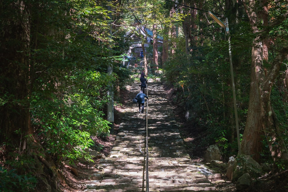 大矢田神社もみじ谷 撮影スポット