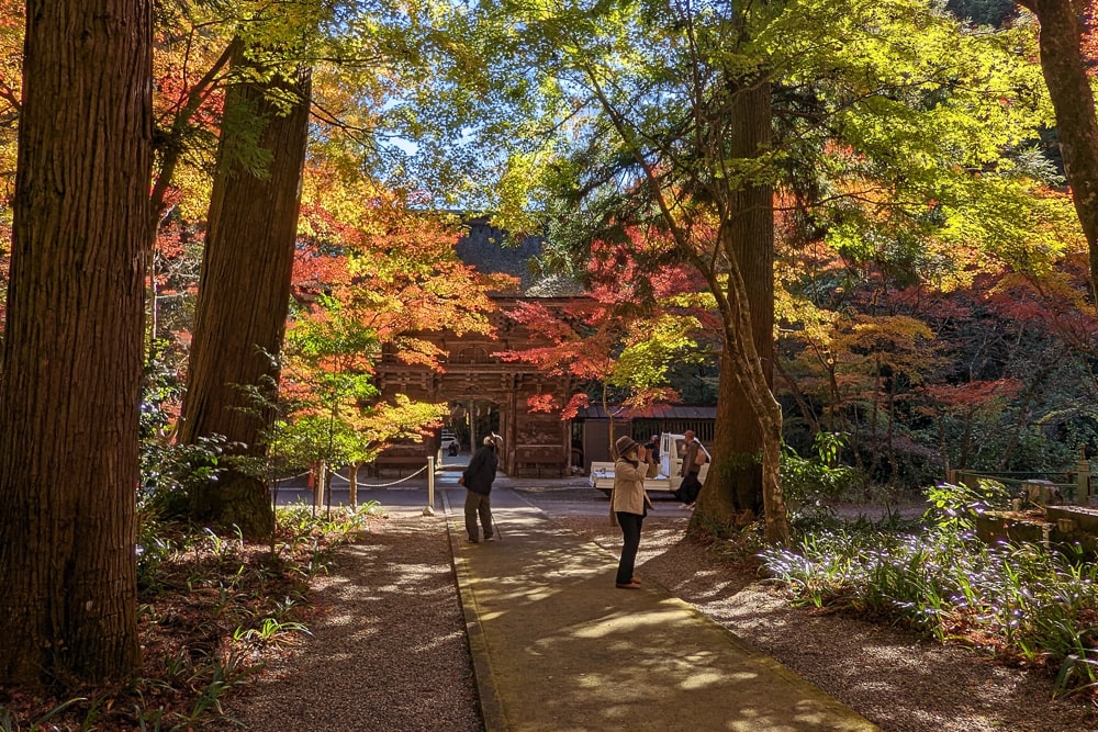 大矢田神社もみじ谷 撮影スポット