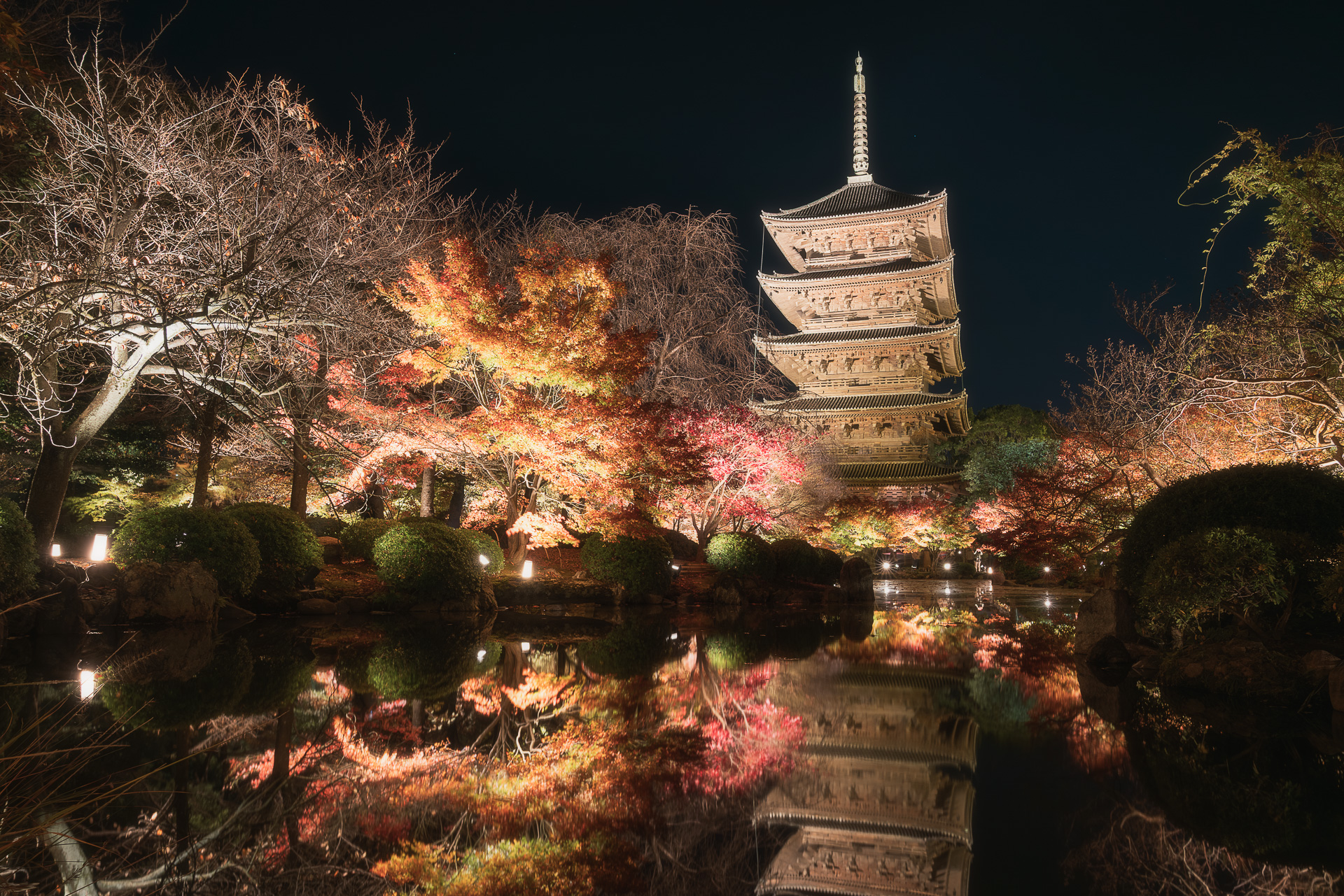 東寺(紅葉ライトアップ)
