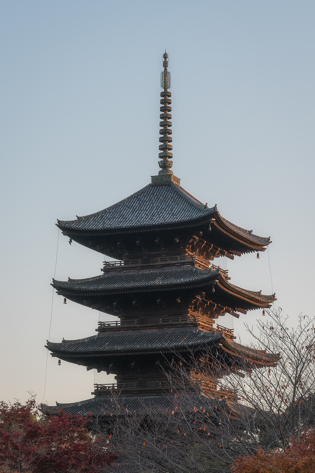 東寺(紅葉ライトアップ)